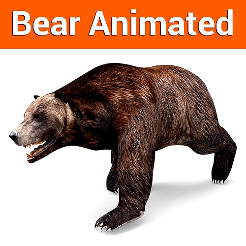 Brown Bear Rigged and animated 3D Model
