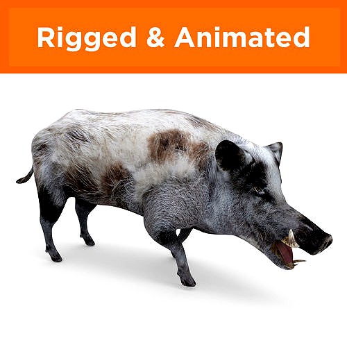 White Wild Boar Rigged and Animated 3D Model