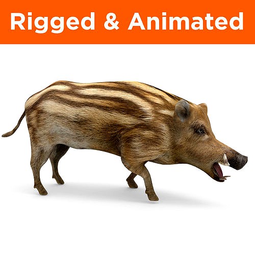 3d Boar Rigged and Animated model