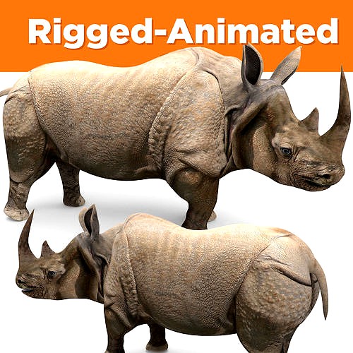 3d Rhino rigged with Animated Rhinoceros realistic Model