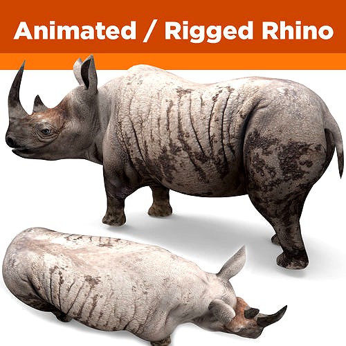 3d Rhino rigged Animated Rhinoceros realistic Model