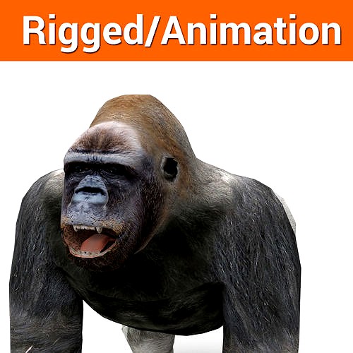 3D Model Gorilla Animated and Rigged