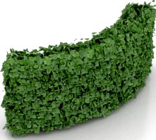 Bush 3D Model