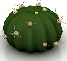 Cactus 3D Model