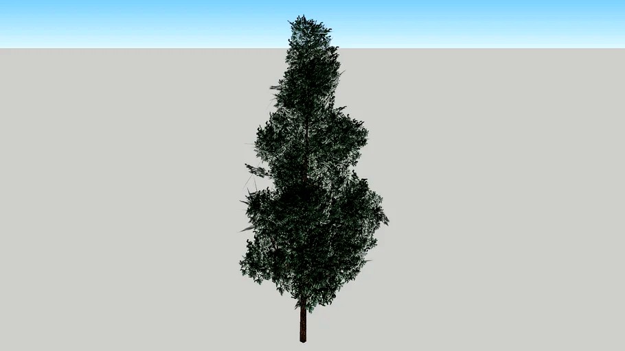 baum