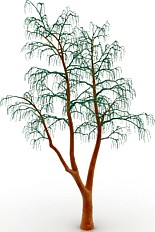 Tree 3D Model