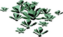 Bush 3D Model