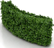 Bush 3D Model
