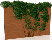 Ivy 3D Model