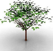 Tree 3D Model