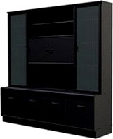 Case 3D Model