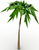 Tree 3D Model