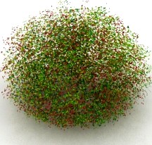 Bush 3D Model