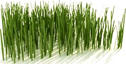 Grass 3D Model