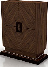Case 3D Model