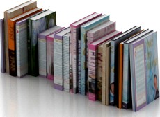 Books 3D Model