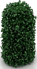 Bush 3D Model