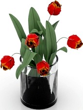 Flowers 3D Model