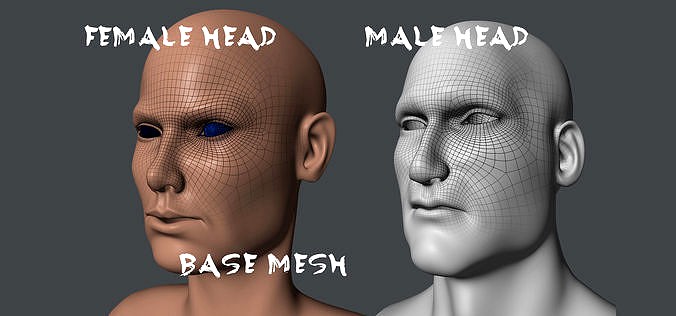 Male and Female Base Mesh