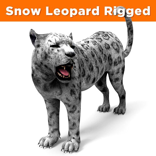 Rigged and Animated White Leopard 3D