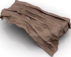 Veil 3D Model
