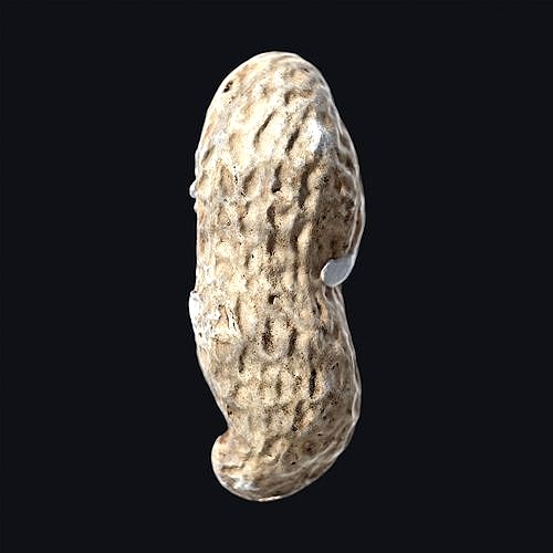 Roasted Peanut shell A