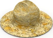 Hat 3D Model