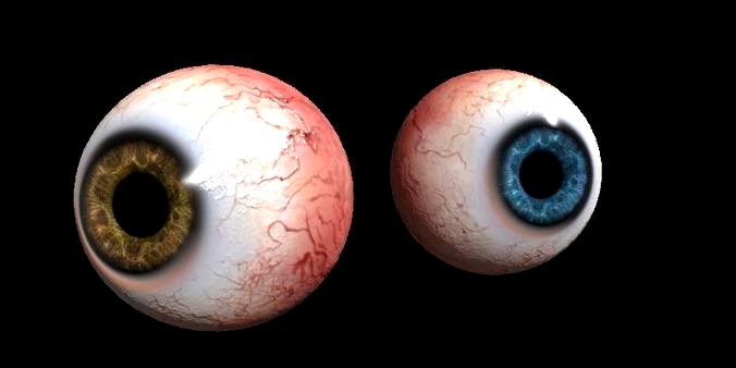 Eye Human