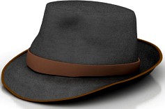Hat 3D Model