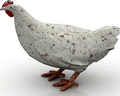 Chicken 3D Model