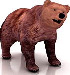 Bear 3D Model