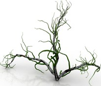 Bush 3D Model