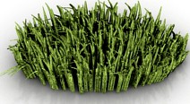 Grass 3D Model