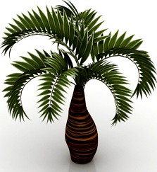 Palm 3D Model