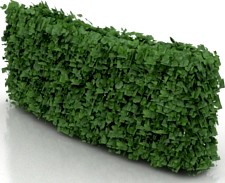 Bush 3D Model