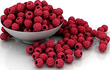 Raspberries 3D Model