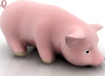 Pig 3D Model