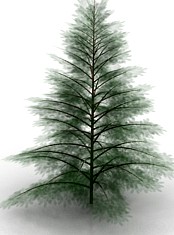 Tree 3D Model