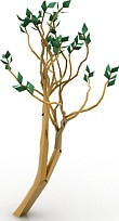 Tree 3D Model