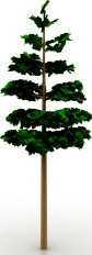 Tree 3D Model