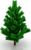 Tree 3D Model