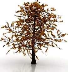 Tree 3D Model