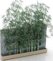 Tree 3D Model