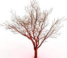 Tree 3D Model