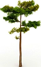 Pine 3D Model