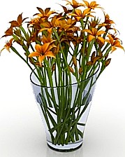 Flowers 3D Model