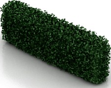 Bush 3D Model