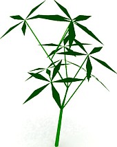 Plant 3D Model