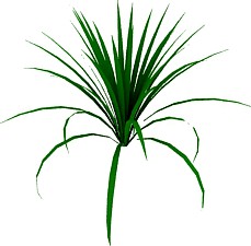 Plant 3D Model