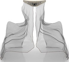 Canopy 3D Model